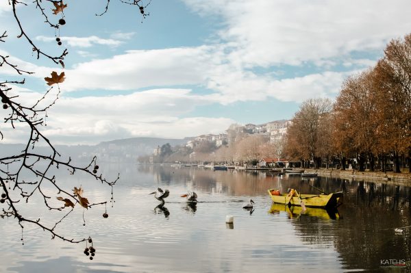 Landscape Photography - Image 5