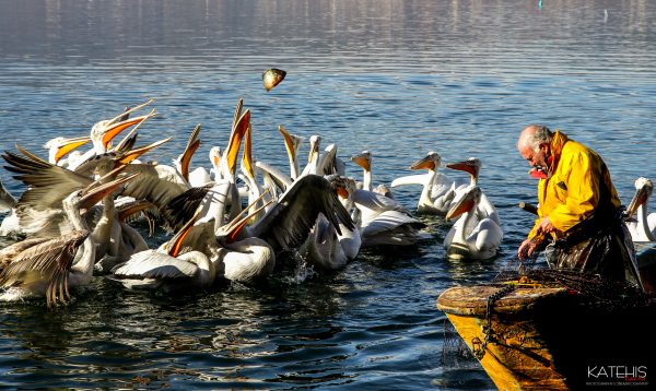 Landscape Photography - Image 7