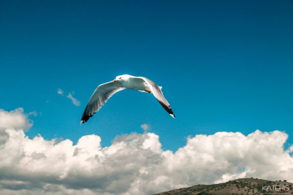 Landscape Photography - Image 10